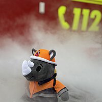 IMG_1156.jpeg