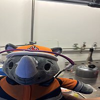 IMG_1149.jpeg